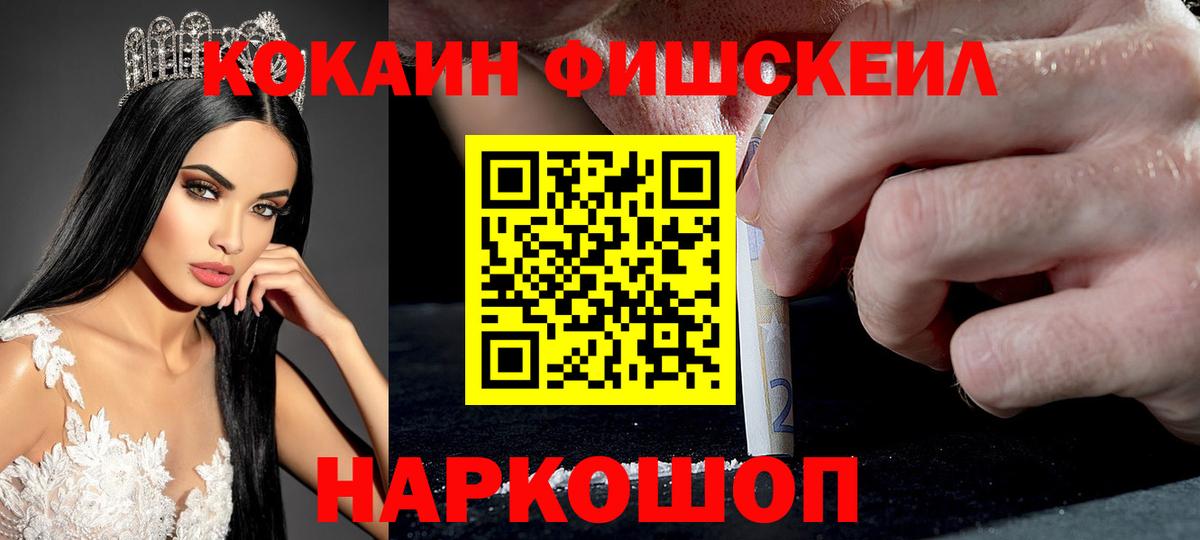 Кокаин Эквадор Камышин