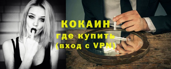 стаф Карпинск