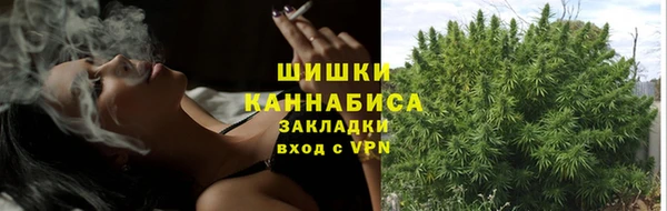 стаф Карпинск