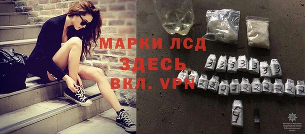 стаф Карпинск