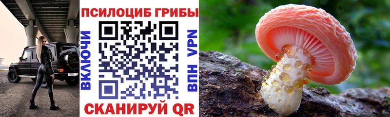 Галлюциногенные грибы Magic Shrooms где можно купить Камышин