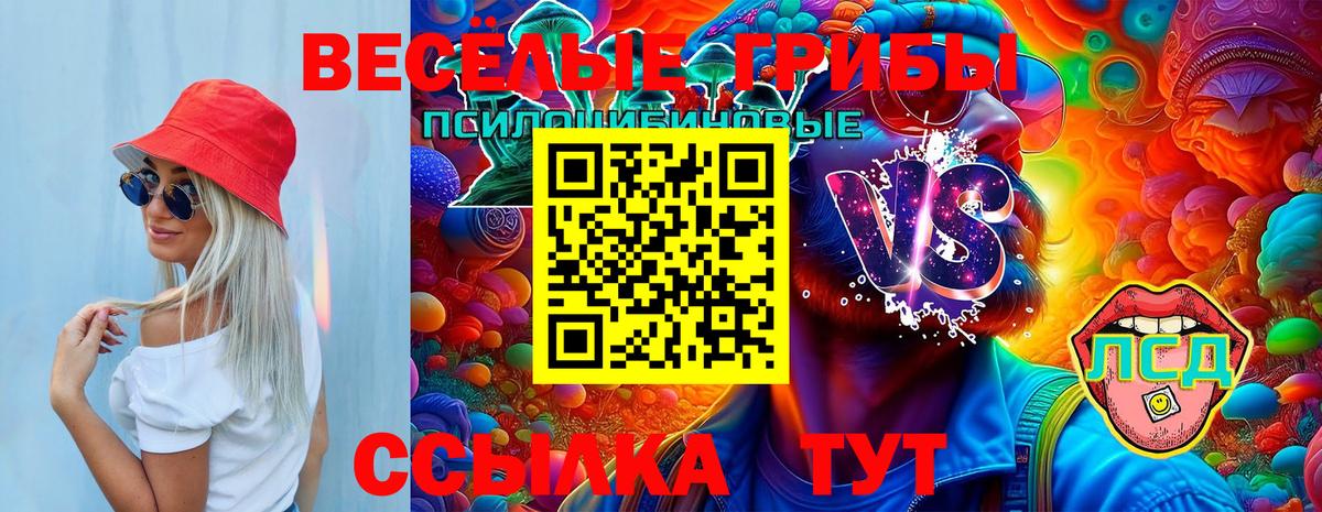 Камышин  Галлюциногенные грибы мицелий  где купить наркотик  Вход с VPN 